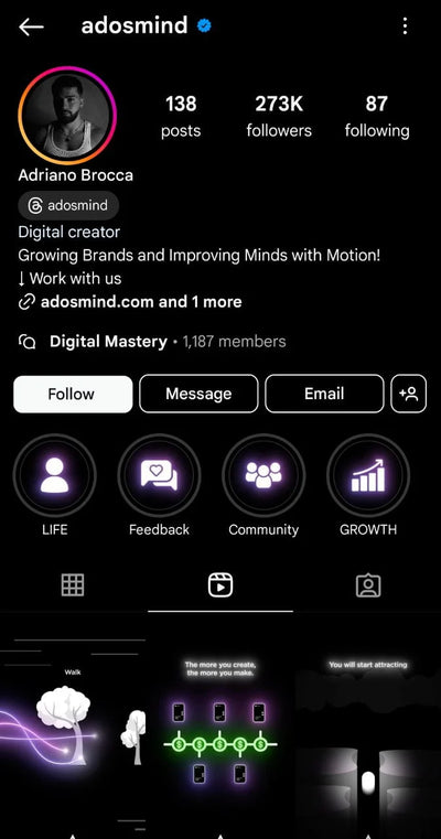 Instagram Profile Screenshot