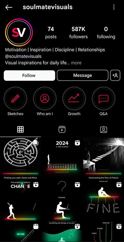 Instagram Profile Screenshot