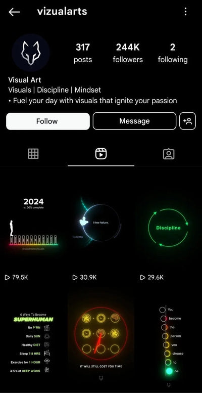 Instagram Profile Screenshot