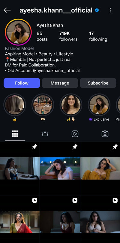 Instagram Profile Screenshot