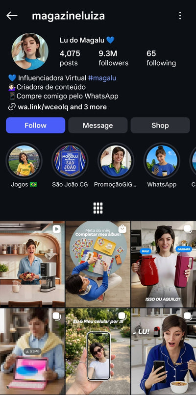 Instagram Profile Screenshot