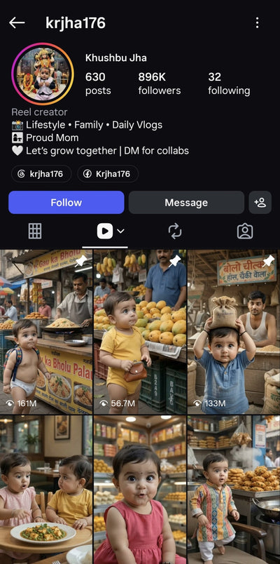 Instagram Profile Screenshot