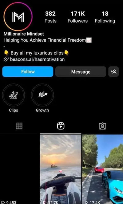 Instagram Profile Screenshot