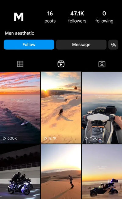 Instagram Profile Screenshot