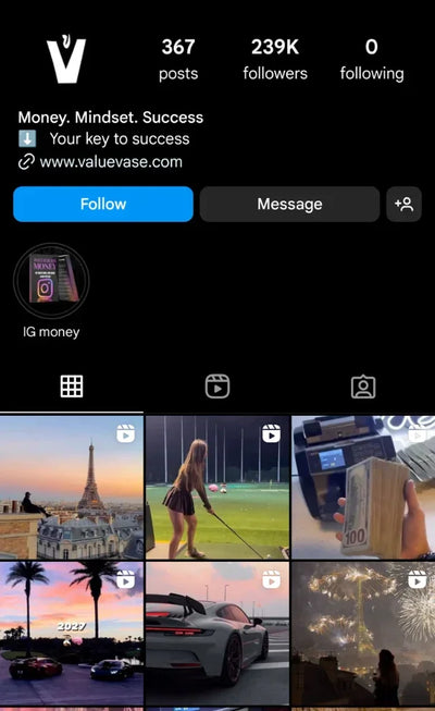 Instagram Profile Screenshot
