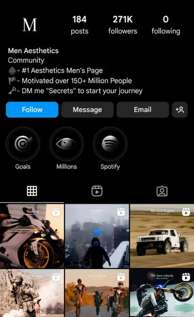 Instagram Profile Screenshot